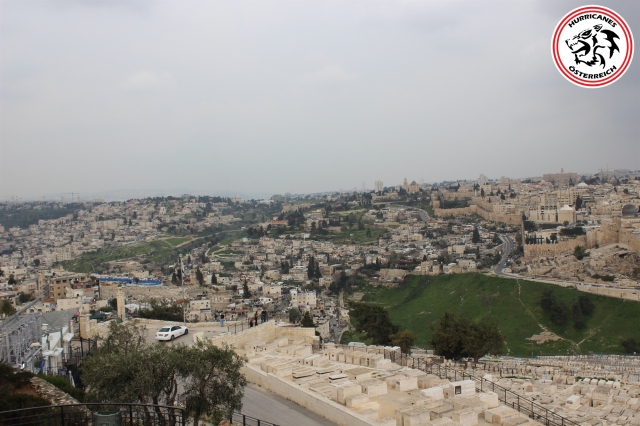 israel - oesterreich 24.3.2019 67